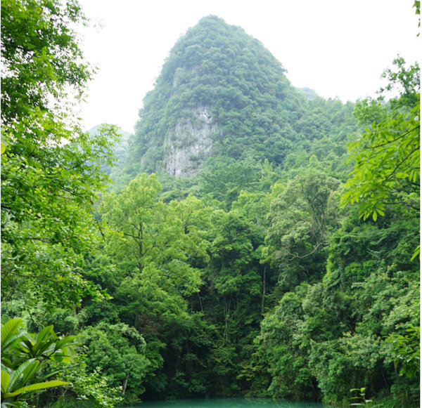 賞華夏大地，游多彩貴州-－2021年廣東博皓快樂行-2